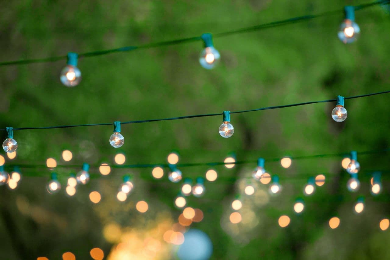 Garden string lights among green foliage
